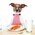 intoxicaciones alimentarias en perros