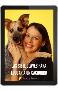Las 7 claves para educar a un cachorro