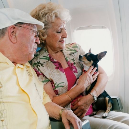 viajar con perro a Cuba
