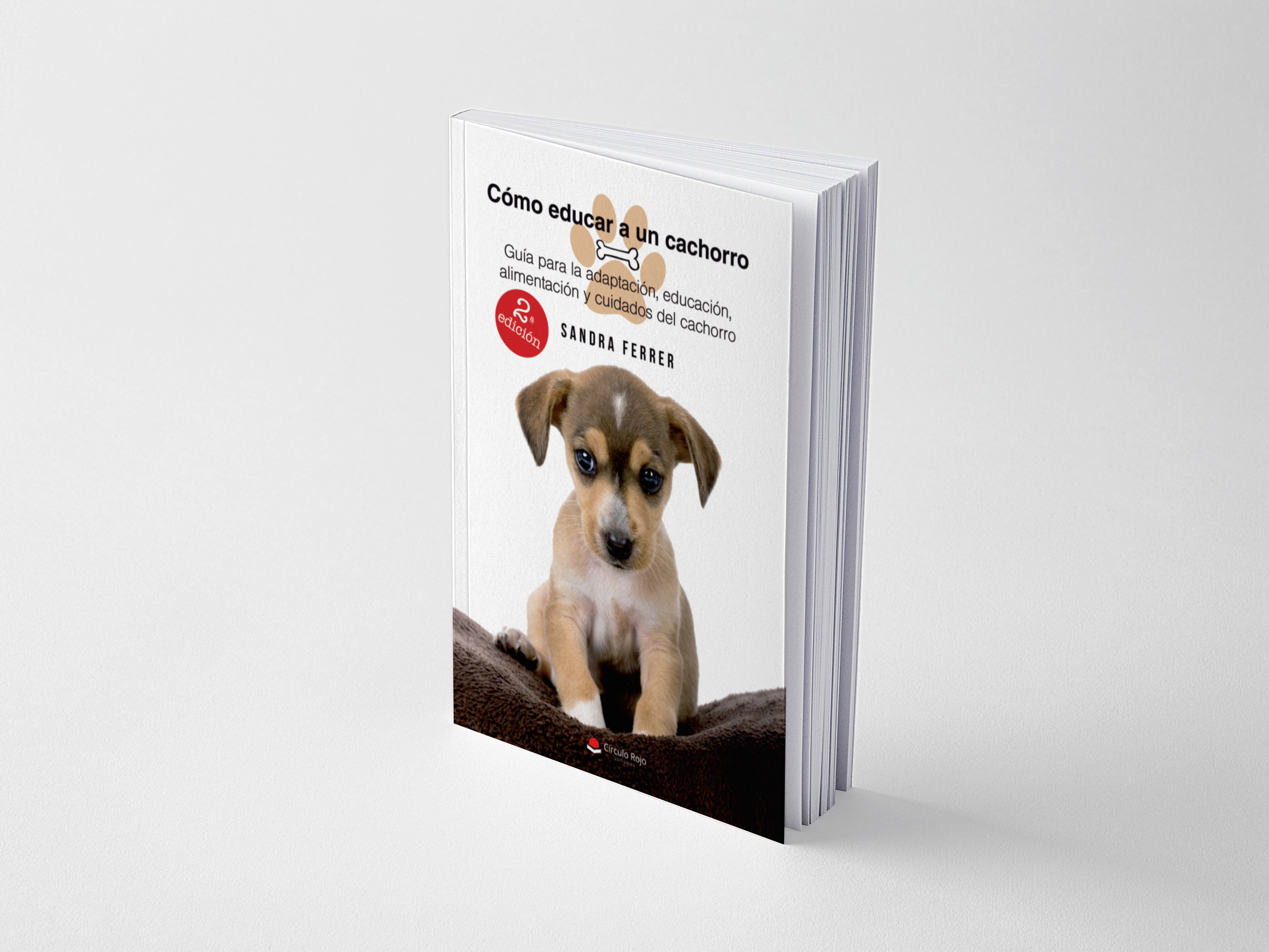 cómo educar a un cachorro