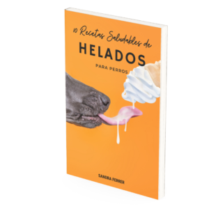 10 recetas saludables de helados para perros