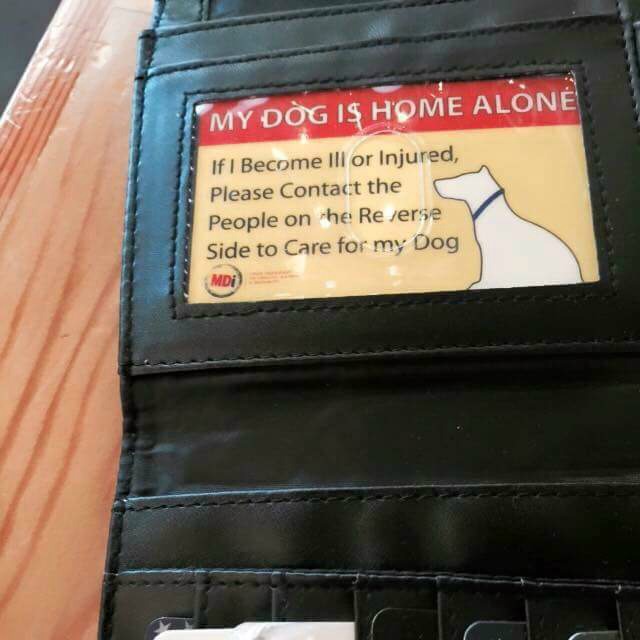 tarjeta de seguridad para perros