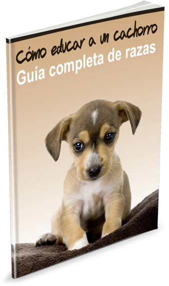 guía de razas