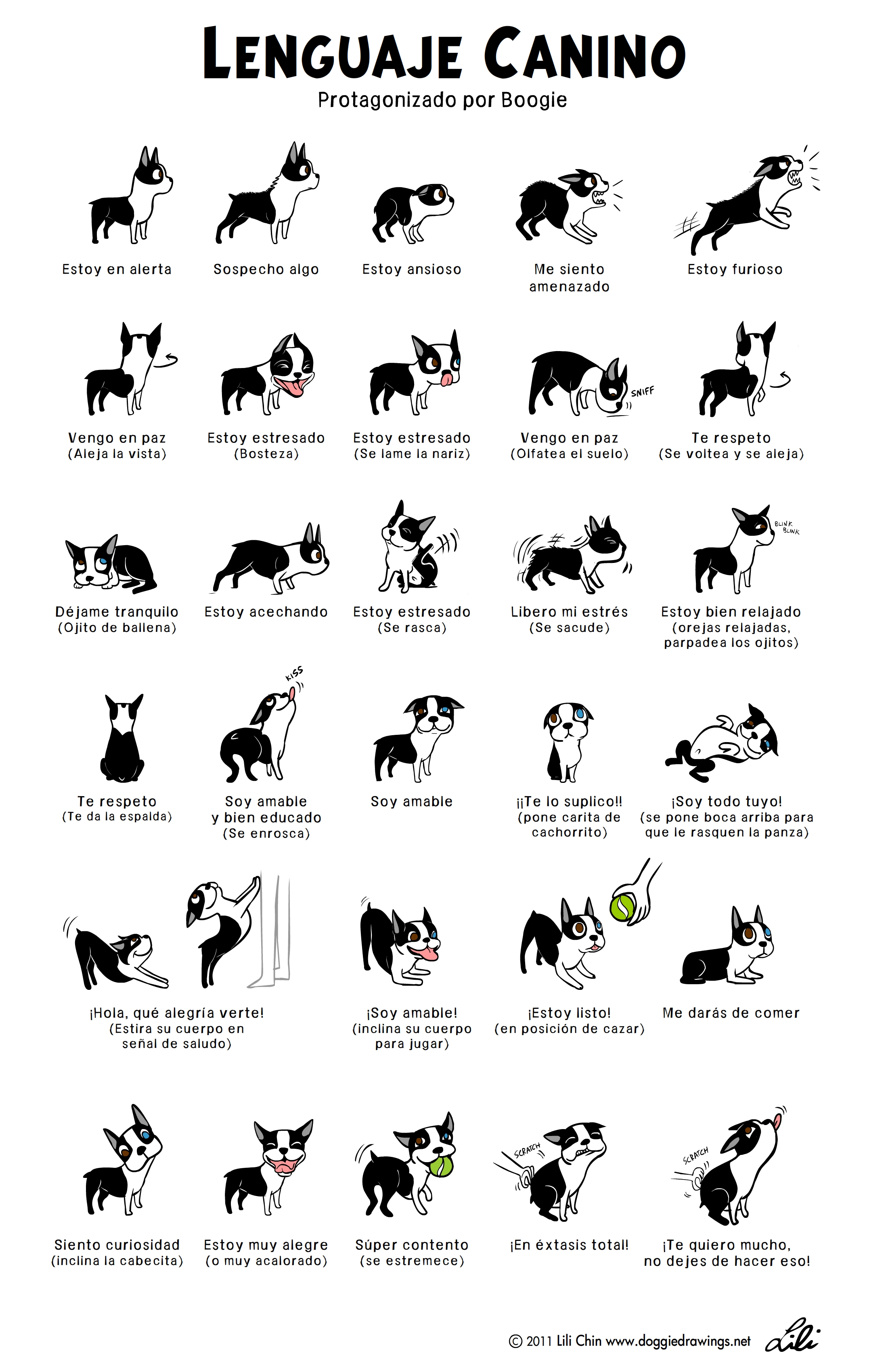 cómo se comunica tu perro