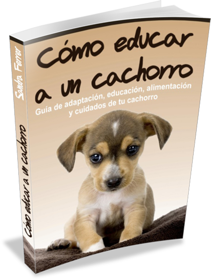 Libro digital