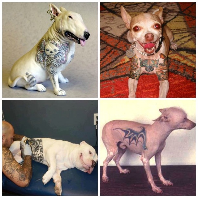 tatuajes en perros