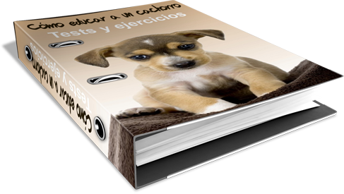 Tests y ejercicios para el cachorro