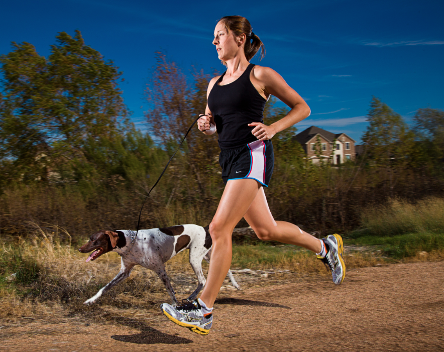 razas de perros para correr